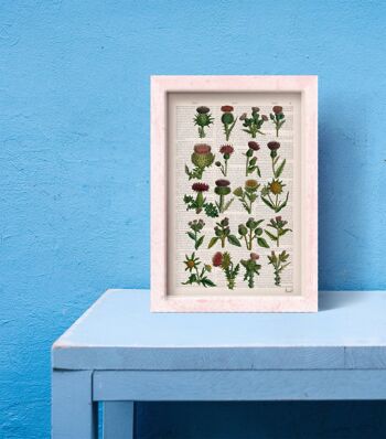 Cardoon collection Botanical Print - A5 White 5.8x8.2 (No Hanger) 3