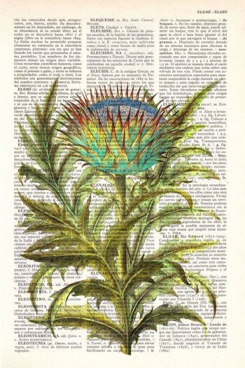 Cardoon Flower Botanical Studio Print - Livre Page M 6.4x9.6 (No Hanger) 4