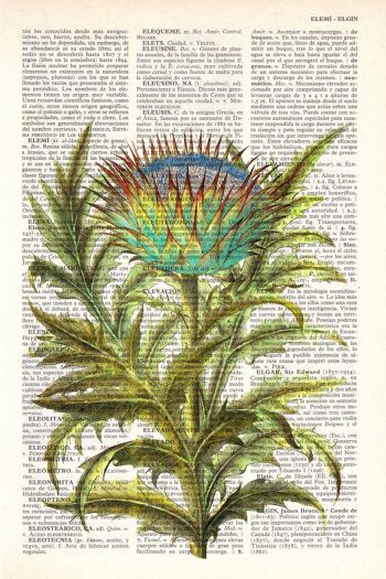 Cardoon Flower Botanical Studio Print - Blanc 8x10 (Sans cintre) 4