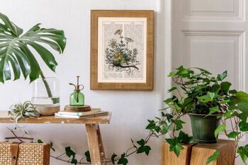 Impression d'illustration de plante de camomille - Page de livre M 6.4x9.6 (No Hanger) 1