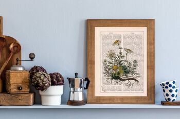 Impression illustration plante camomille - A4 Blanc 8.2x11.6 2