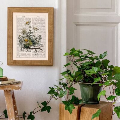 Stampa di illustrazione di piante di camomilla - A5 bianco 5,8 x 8,2 (senza gancio)
