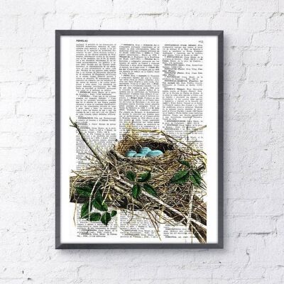 Regali di Natale, regalo per la casa Robin bird nest, Wall art, Wall Decor, Gift Art for Home, Nursery wall art, Nature Art Prints, Wholesale ANI046 - Book Page S 5x7