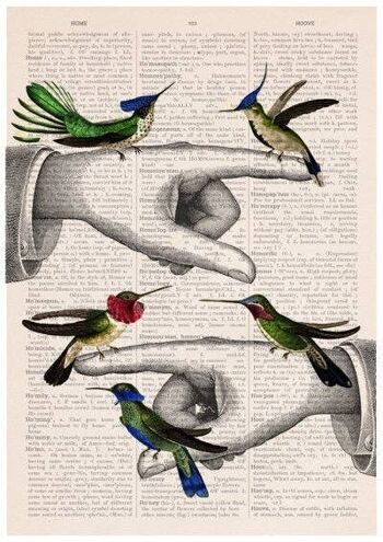 Cadeaux de Noël, Colibris sur les mains pointées, Art d'oiseau, Art animalier drôle, Affiche d'art mural, Décoration murale, art de colibris ANI111PA3 (No Hanger) 3