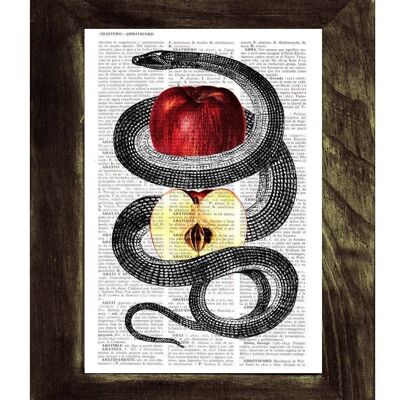 Cadeaux de Noël, Bienvenue printemps Red Temptation Snake and Apple Print on New home gift Page le meilleur choix comme cadeaux pour lui Ani202b - Book Page S 5x7