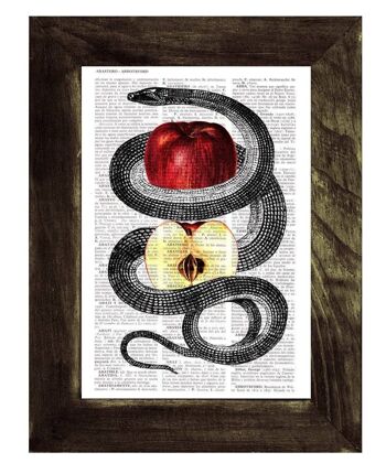 Cadeaux de Noël, bienvenue au printemps Red Temptation Snake and Apple Print on New home gift page le meilleur choix comme cadeaux pour lui Ani202b - Book Page M 6.4x9.6 1