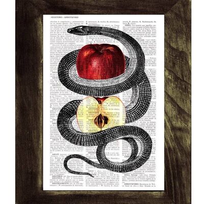 Cadeaux de Noël, Bienvenue au printemps Red Temptation Snake and Apple Print on New home gift Page le meilleur choix comme cadeaux pour lui Ani202b - Book Page L 8.1x12
