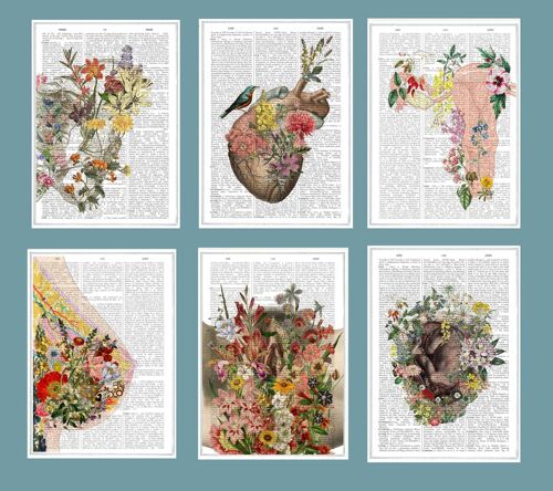 Christmas svg Gift - Feminist Art Woman anatomy - Pregnancy announcement Postcards - Postcards set of six . Woman gift cards set - PSC018