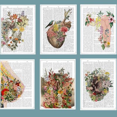 Cadeau de Noël svg - Art féministe Femme anatomie - Annonce de grossesse Cartes postales - Cartes postales ensemble de six. Coffret carte cadeau femme - PSC018