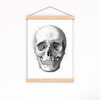 Svg de Noël, cadeau pour elle, cadeau de Noël, cadeau de docteur, impression de crâne, impression de crâne simple, art mural de crâne, art de crâne humain, SKA011 - A4 White 8.2x11.6 (No Hanger) 2
