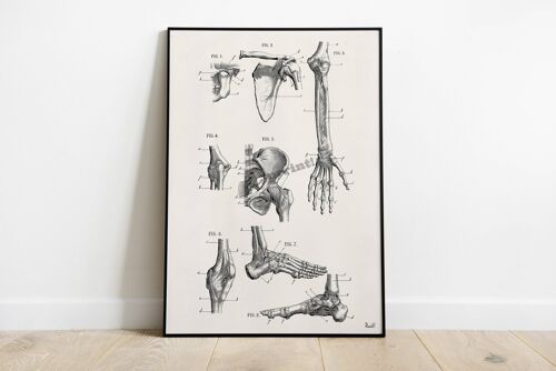 Christmas Svg, Human bones, Anatomy art, Anatomical art Gift for doctor, feet bones, Therapy gift, Hand bones, Doctor office gift SKA266 - A3 White 11.7x16.5 (No Hanger)