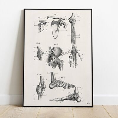 Svg de Noël, os humains, art de l'anatomie, cadeau d'art anatomique pour le médecin, os des pieds, cadeau de thérapie, os de la main, cadeau de bureau du médecin SKA266 - A3 blanc 11,7 x 16,5 (sans cintre)