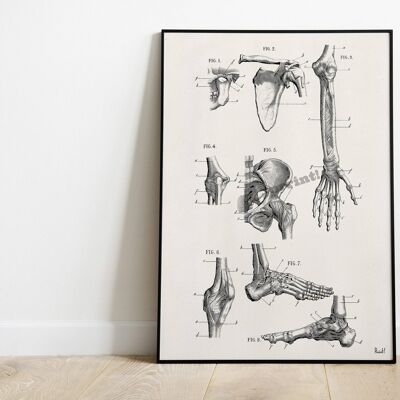 Svg de Noël, os humains, art de l'anatomie, cadeau d'art anatomique pour le médecin, os des pieds, cadeau de thérapie, os de la main, cadeau de bureau du médecin SKA266 - A4 blanc 8,2 x 11,6 (sans cintre)