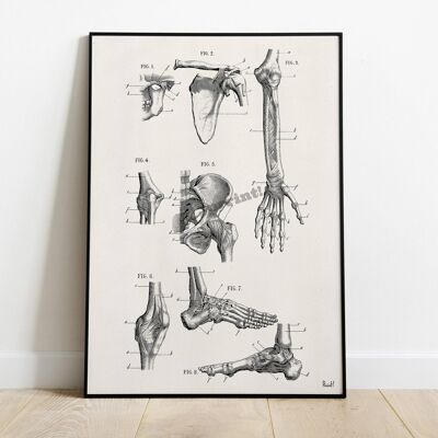 Weihnachten Svg, menschliche Knochen, Anatomie Kunst, anatomische Kunst Geschenk für Arzt, Fußknochen, Therapiegeschenk, Handknochen, Arztpraxis Geschenk SKA266 - weiß 8 x 10 (kein Aufhänger)