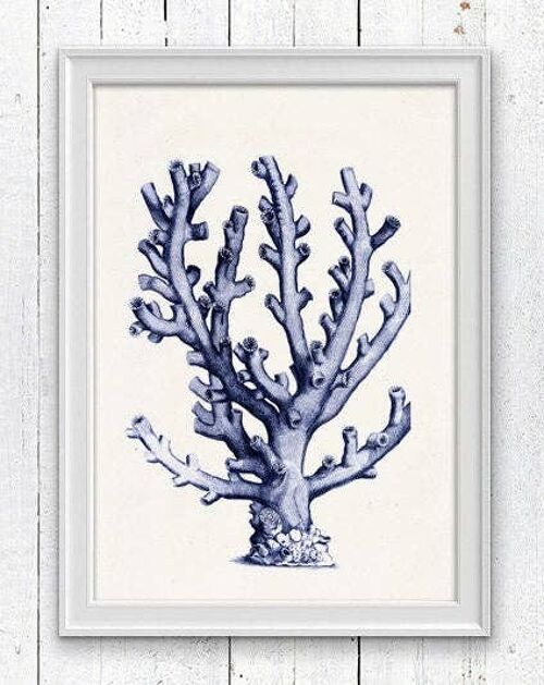 Coral in blue n09 sea life print - A3 White 11.7x16.5 (No Hanger)