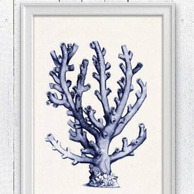 Coral in blue n09 sea life print - A4 White 8.2x11.6 (No Hanger)