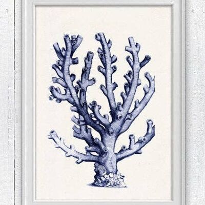 Coral in blue n09 sea life print - White 8x10 (No Hanger)