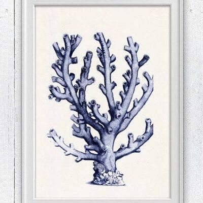 Koralle in Blau n09 Sea Life Print - Weiß 8x10