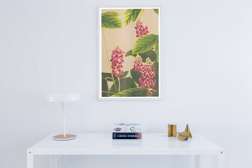 Curcuma Plant Oriental Flowers Poster