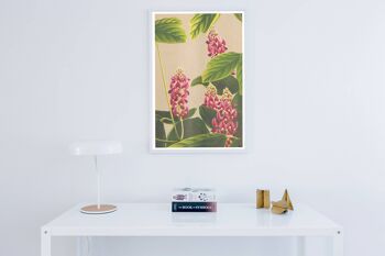 Affiche de fleurs orientales de plantes de curcuma (sans cintre) 1