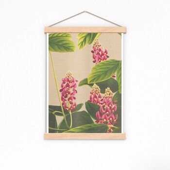 Affiche de fleurs orientales de plantes de curcuma (sans cintre) 2