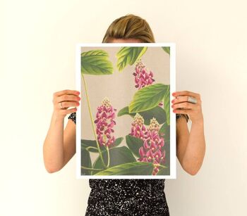 Affiche de fleurs orientales de plantes de curcuma (sans cintre) 4