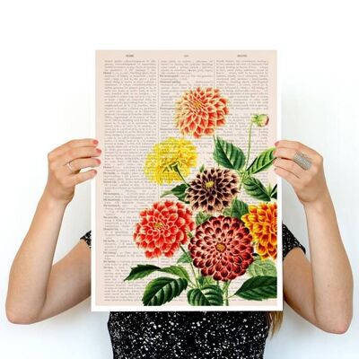 Dahlien-Poster mit frischen Frühlingsblumen (ohne Aufhänger)