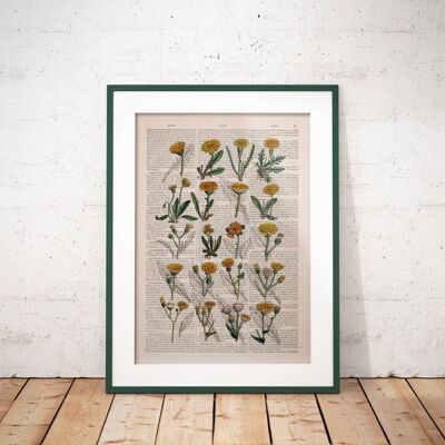 Dandelion Art Print - A4 White 8.2x11.6 (No Hanger)