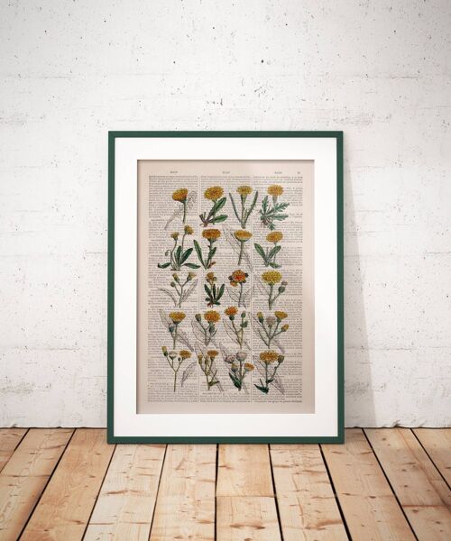 Dandelion Art Print - A5 White 5.8x8.2