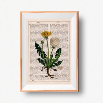 Pissenlit Wild Plant - Livre Page M 6.4x9.6 (Sans Cintre) 4