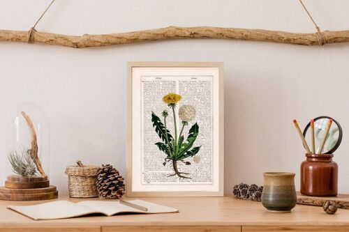 Dandelion Wild Plant - A5 White 5.8x8.2