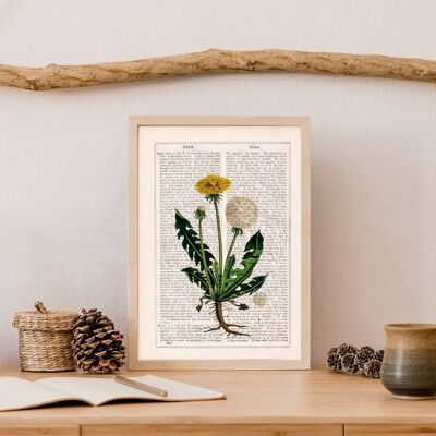 Dandelion Wild Plant - White 8x10 (No Hanger)