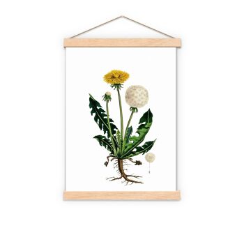 Pissenlit Plante Sauvage - Blanc 8x10 (Sans Cintre) 2