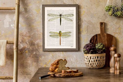 Dragonflies wall art - Book Page L 8.1x12 (No Hanger)