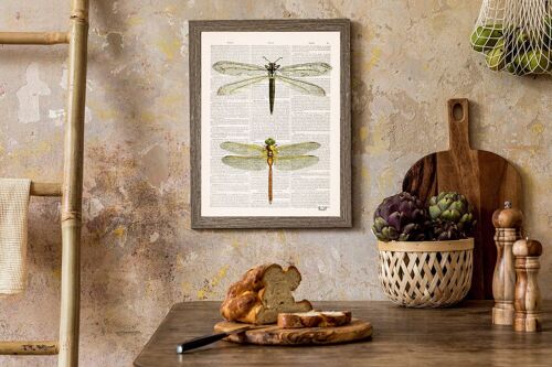 Dragonflies wall art - Book Page M 6.4x9.6 (No Hanger)