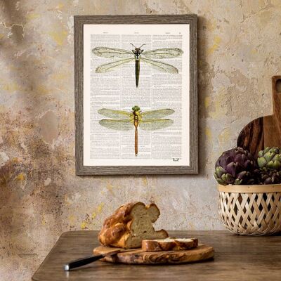 Dragonflies wall art - Book Page M 6.4x9.6 (No Hanger)