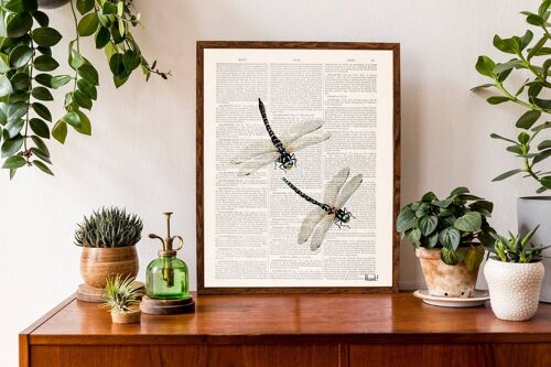 Dragonfly Wall art print - Book Page L 8.1x12 (No Hanger)