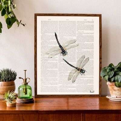 Libellen-Wand-Kunstdruck – A4 weiß 8,2 x 11,6 (ohne Aufhänger)