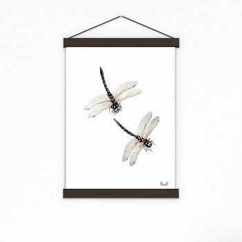 Affiche murale libellule - Blanc 8x10 2