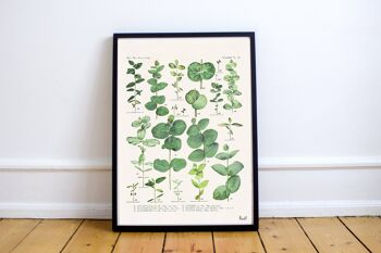 Impression botanique vert eucalyptus - blanc 8 x 10 (sans cintre) 2