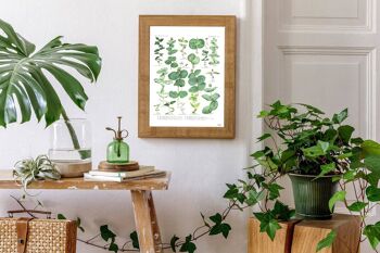 Impression botanique vert eucalyptus - blanc 8 x 10 (sans cintre) 4