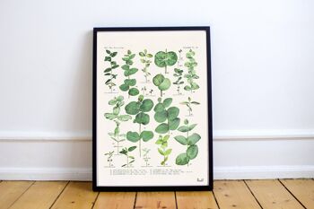 Eucalyptus Green Botanical Print - A3 White 11.7x16.5 (No Hanger) 2