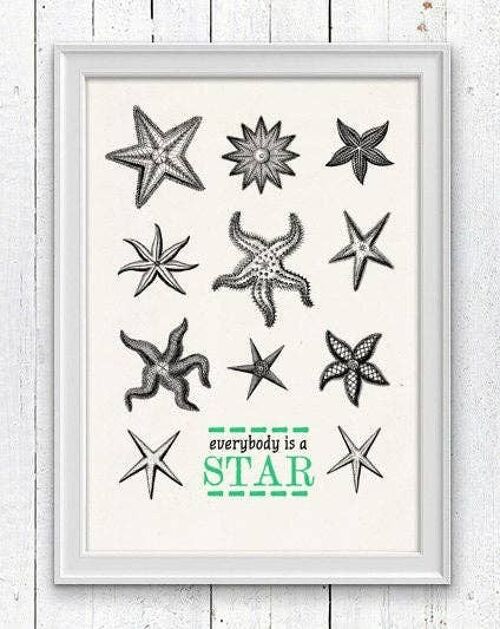 Everybody is a star - Starfish Wall decor - A3 White 11.7x16.5 (No Hanger)