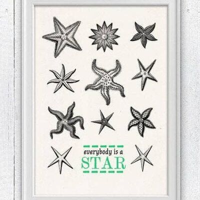 Jeder ist ein Star – Seestern Wanddekoration – A3 Weiß 11,7 x 16,5 (ohne Aufhänger)