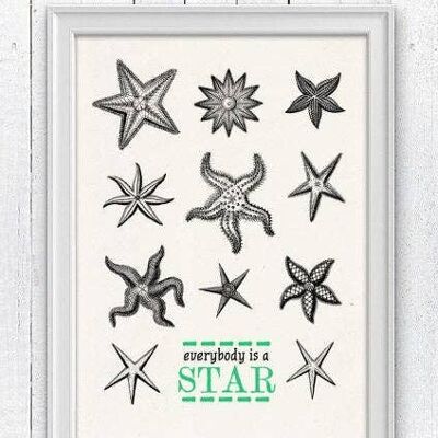 Tout le monde est une étoile - Décoration murale étoile de mer - A3 Blanc 11,7x16,5 (Sans cintre)