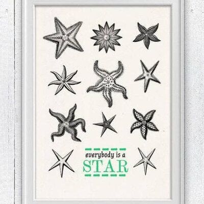 Jeder ist ein Star – Seestern Wanddekoration – A4 weiß 8,2 x 11,6 (ohne Aufhänger)