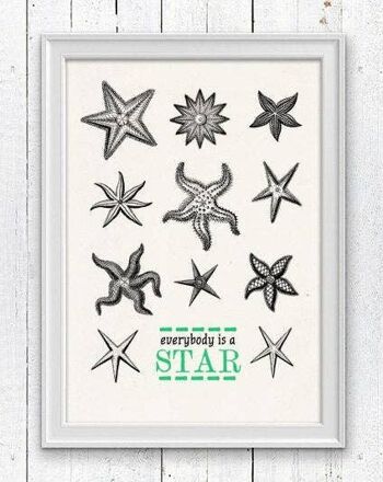 Tout le monde est une étoile - Décoration murale étoile de mer - Blanc 8x10 (sans cintre) 1