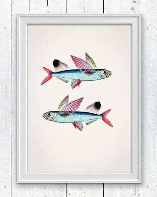 Flying Fish Sea fish print - A4 White 8.2x11.6 (No Hanger)