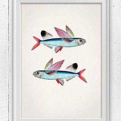 Poissons volants Impression de poissons de mer - A4 Blanc 8.2x11.6 (Sans cintre)
