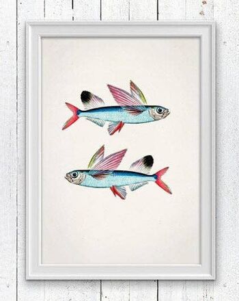 Poissons volants Impression de poissons de mer - A4 Blanc 8.2x11.6 (Sans cintre) 1